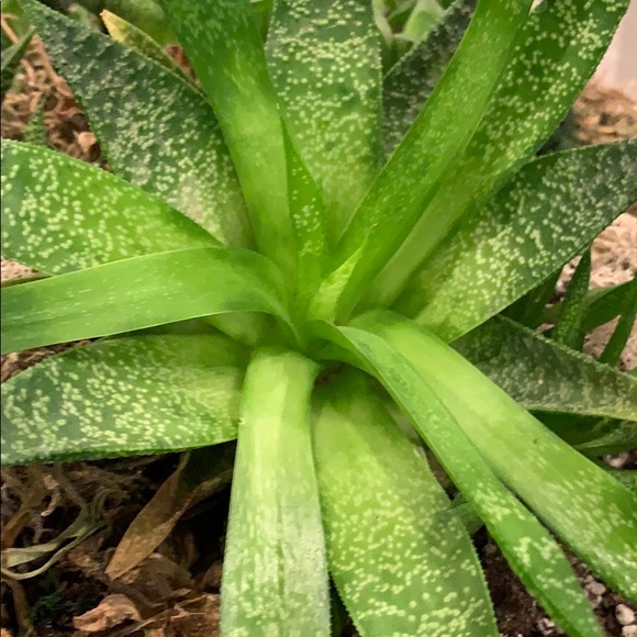 Meet your Posher, Kelly - Picture 1 of 1